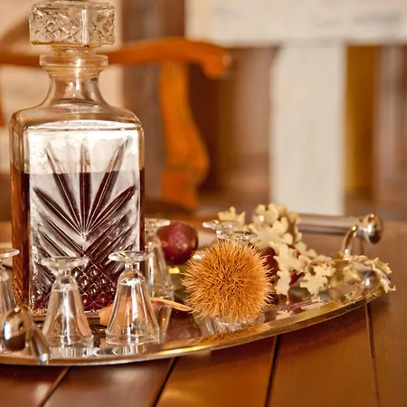 Отель Archontiko Hatzipanayioti