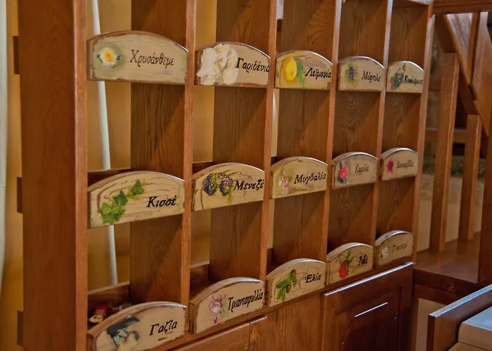 Отель Archontiko Hatzipanayioti 4*